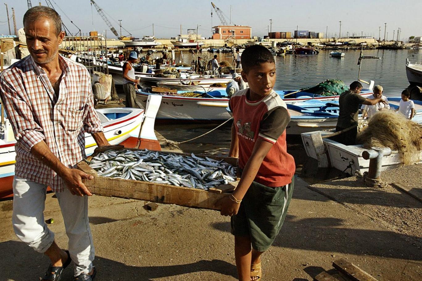 يعاني غياب الدعم وغلاء المعدات والصيد الجائر ... قطاع صيد السمك في لبنان تحاوطه "شباك الأزمة"