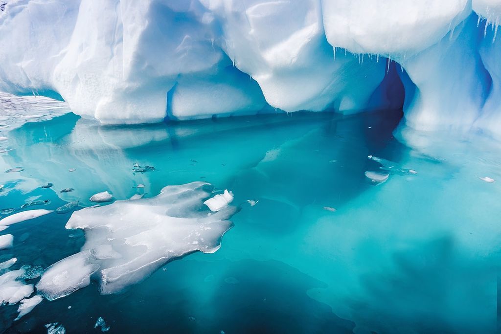 العلماء يكتشفون بكتيريا خارقة في جليد القطب الجنوبي تقاوم المضادات الحيوية
