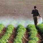 الكشف عن شبكة إجرامية تستورد أدوية زراعية مسرطنة في لبنان