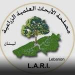 Lari: لا صحة لمنخفض جوي قوي ويبدو أن شباط لن يحمل معه ثلوجاً