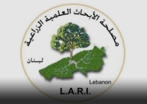 Lari: لا صحة لمنخفض جوي قوي ويبدو أن شباط لن يحمل معه ثلوجاً